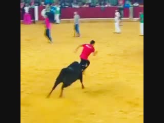 bullfight with striptease